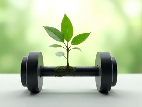 Latest company blog about Study Debunks Weekly Personal Training Session Efficacy