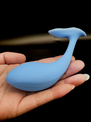 Buon prezzo Delicate G Spot Couples SexToy APP Remote Control SexToy Per Donne in linea